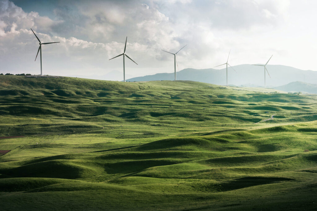 24 de Octubre, Día Internacional Contra el Cambio Climático